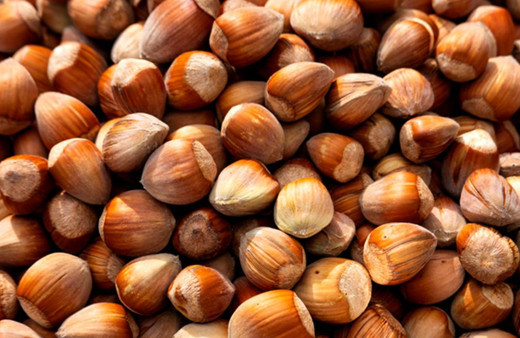 Fındık alım fiyatları belirlendi