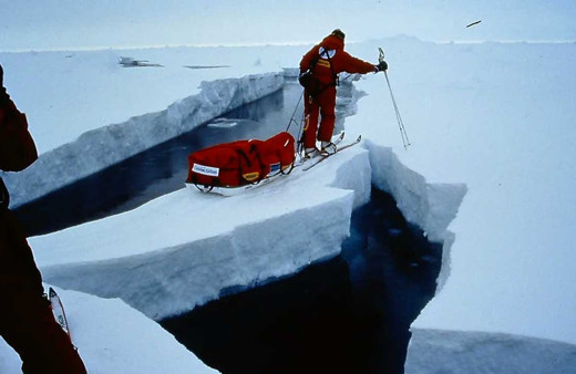 Kuzey Kutbu'nda yaşam ciddi tehdit altında! Araştırma sonuçları korkuttu