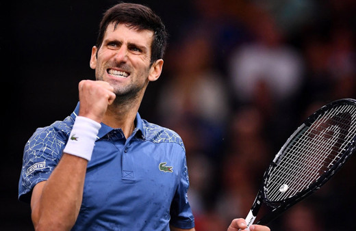 Vize başvurusunda yalan beyanda bulunan Djokovic 'insan hatası' dedi