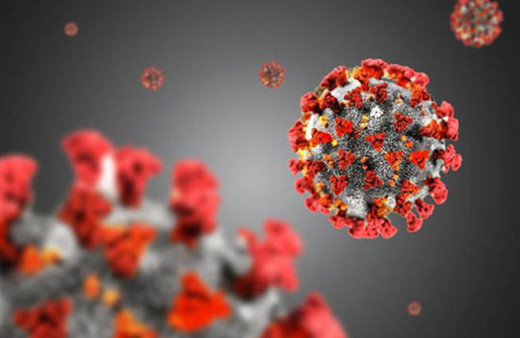 DSÖ bitişin yakın olduğunu duyurmuştu! Bilim Kurulu Üyesi  Sema Turan'dan heyecanlandıran açıklama