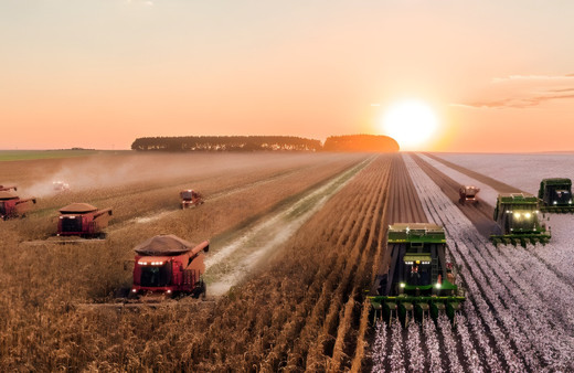 İklim değişikliğine karşı yeni plan! Türkiye'de kahve üretilecek