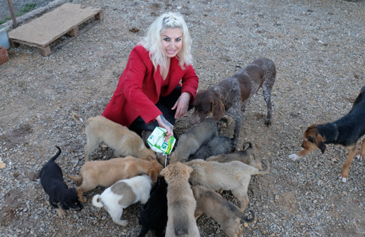 Konya'da 500'e yakın köpek ve kediyi besliyor: Annelik yapıyorum, artık zorlanmaya başladım