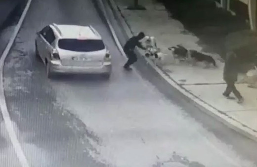 Başıboş köpekler bir kişiyi parçalayacaktı