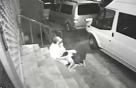 İstanbul'da köpeğe tecavüz skandalı! Görüntüleri reddetti: Bana yanıltmalı soru sordular