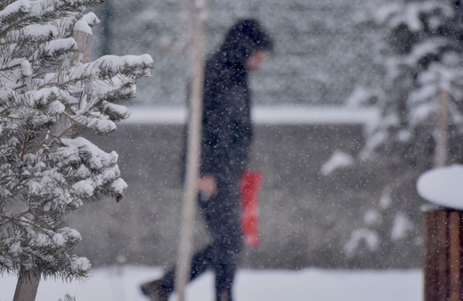 Meteoroloji profesörü Orhan Şen söyledi : Bursa, Balıkesir, Sakarya'ya kuvvetli kar yağışı var