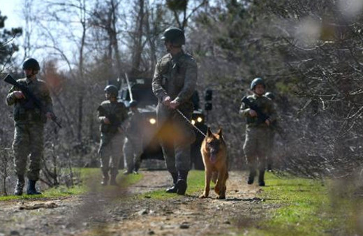 MSB: Yunanistan'a geçmeye çalışan 3 FETÖ mensubu yakalandı