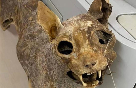 Çorum'da cami tadilatında 80 yıllık ceset bulundu görüntüler şaşırttı beden bütünlüğü bozulmamış