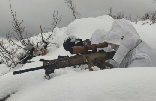 Mehmetçik kara kış dinlemiyor! 1 ayda 172 teröristin etkisiz hale getirildi