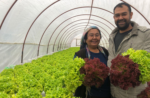 İstanbul'da memurluğu bırakıp Adana'ya döndü! Topraksız tarımda aylık 28 bin lira kazanabiliyor