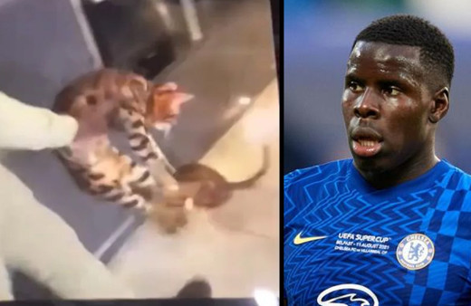 Çocuğunun gözü önünde kedisine işkence etti! Ünlü futbolcu o anları utanmadan gülerek paylaştı