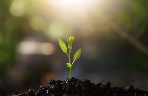 Cemre düşme sırası 2022 ilk cemre düştü mü nereye düşer?