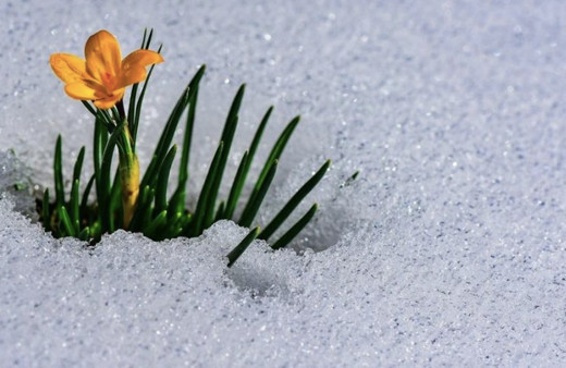 Cemre ne zaman düşüyor 2022 havaya suya toprağa ne zaman düşecek?