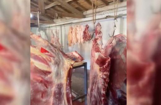 Kırklareli'nde görüntü mide bulandırdı! Kaçak 1,8 ton ete el konuldu