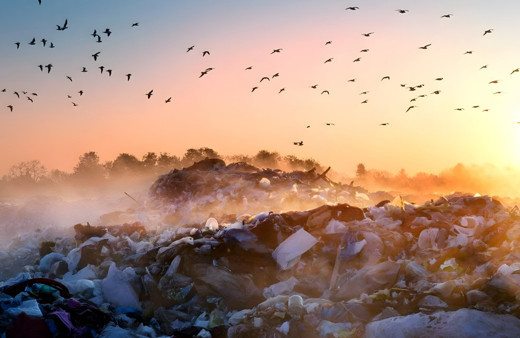 Birleşmiş Milletlerden çevre kirliliği uyarısı: Koronavirüsten daha ölümcül