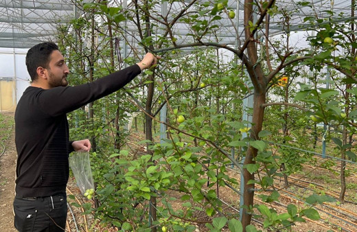 Kilosu 2 bin TL! Arap şeyhlerinden sipariş yağıyor: Bursa'da 12 ay boyunca bebek gibi bakıyoruz