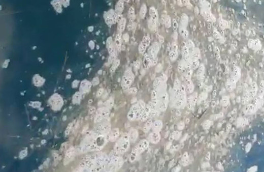 Kabus yeniden hortladı! Çanakkale Boğazı’nda müsilaj görüldü
