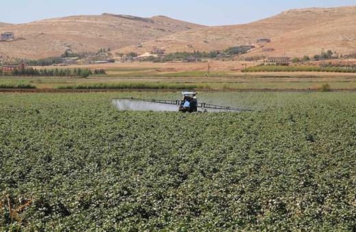 Gübre fiyatlarındaki indirim pazar tezgahlarına yansıyacak
