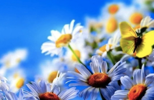 İlk cemre düştü mü, nereye düştü 2022 cemre düşme tarihleri-sırası