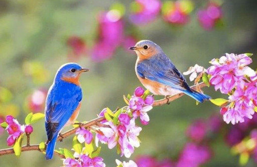 Cemre düştü mü 2022 ilk cemre nereye düşer, cemre düşmesi nasıl olur?