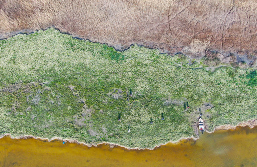 Kesin korunacak hassas alan ilan edildi! Adana'da görenler hayran kaldı: Milyonlarca var