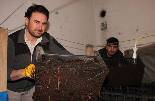 Erzurum'da hobi olarak başladı ikinci işi oldu! 8 ton üretiyor: İsrail Amerika 50 yıldır bu ürünü kullanıyor