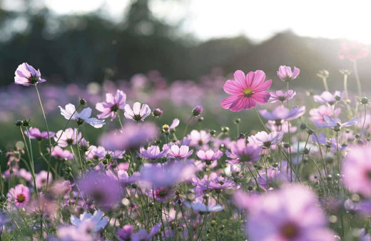 İkinci cemre düştü mü 2022 cemre düşme sırası tarihleri