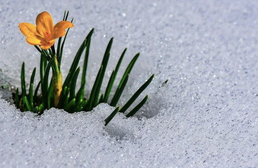 Üçüncü cemre düştü mü 2022 ne zaman düşer cemre düşme sırası