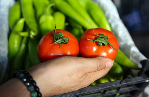 FAO: Küresel gıda fiyatları şubatta yıllık yüzde 24,1 artarak rekor seviyeye ulaştı