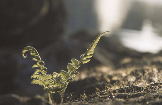 Üçüncü cemre düştü mü 2022 nereye düşecek? Cemre düşme sırası