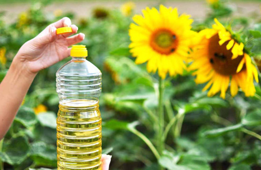 Almanya'nın birkaç haftalık ayçiçek yağı kaldı Avrupa'da gıda krizi