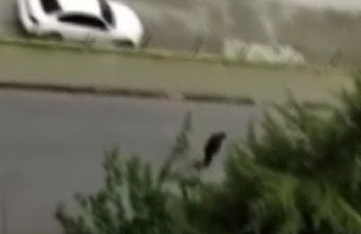 İstanbul'da tapu tartışması kavgaya dönüştü! Sokak ortasında kurşun yağdırdı