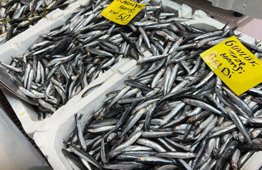 Balık avı yasağına sayılı günler kaldı! Tezgahlardaki fiyatlar cepleri yaktı