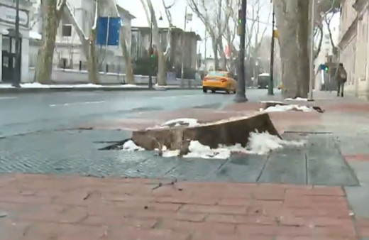 Tarihi çınarlar için rant iddiası