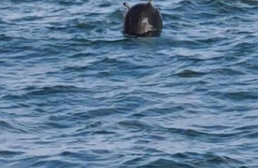 İstanbul Boğazı'nda ikinci kez mayın görüldü iddiası yalanlandı