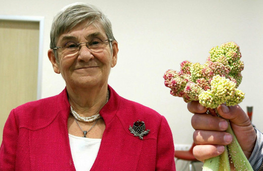 Dünyanın en sağlıklı yemeği! Canan Karatay açıkladı tarifi basit