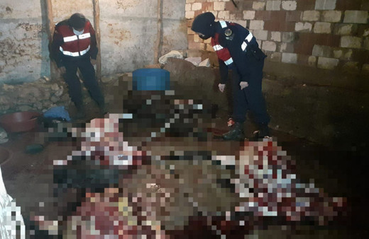 Manisa'da eşek kesip piyasaya sürmeye çalışanlara jandarmadan suçüstü