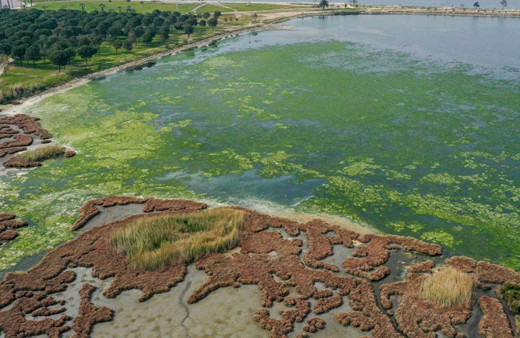Yeniden hortladı İzmir körfezini hızla sarıyor denizin halini görenler şoke oluyor