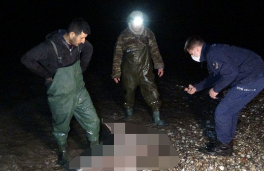 Manavgat'ta balıkçılar şaşkına döndü fotoğrafını çekip hemen 112'yi aradılar