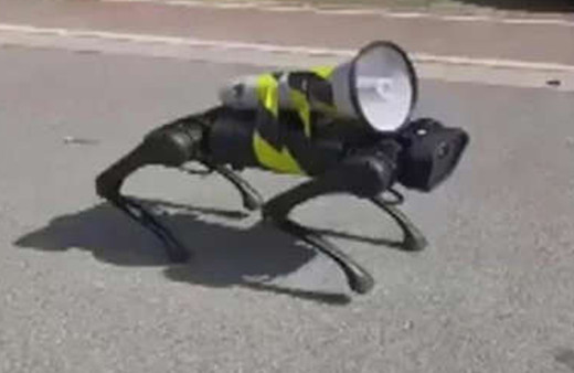 Sokaklarda dolaşıyor görenler telefona sarıldı! Sosyal medyada izlenme rekorları kırdı