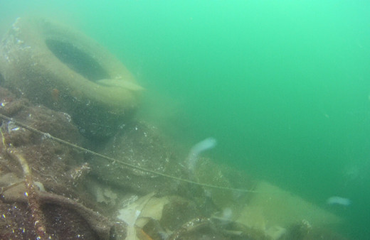 İstanbul Kartal'da korkutan görüntü denizde çöp dağları oluştu