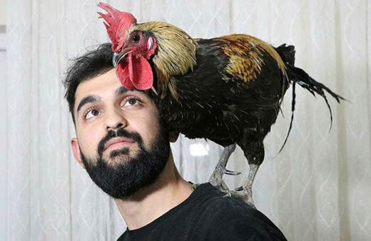 Dünyaya ün salan Türk fenomen Bahtiyar'dan acı haber geldi! Öterken bayılıyordu...