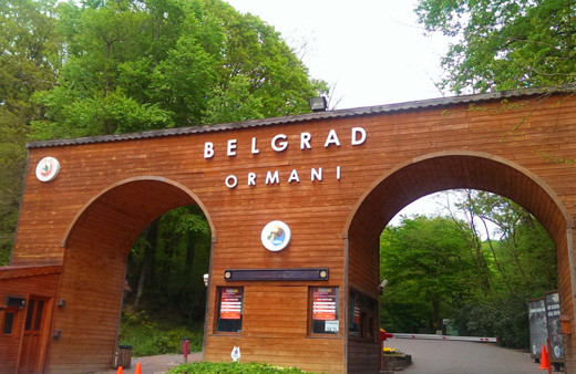 İstanbul Büyükşehir'e zam tepkisi Belgrad Ormanı'na giriş ücreti şoke etti