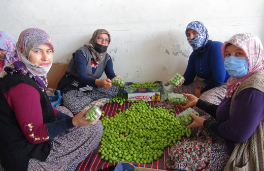 Yüzde 96 indirim yapıldı! Fiyatı bir anda 20 TL'ye düştü: İstanbul İzmir Ankara'dan sipariş yağıyor