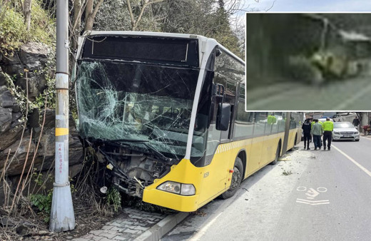İstanbul'da İETT otobüsü kayalıklara daldı! Feci kazanın görüntüsü çıktı: Adeta şaha kalktı