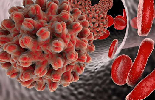 Gizemli virüs paniği büyüyor! Avrupa risk raporunu açıklayacak