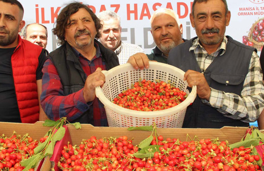 İlk kirazın kilosu 750 liraya satıldı 200 liraya düşmesi bekleniyor