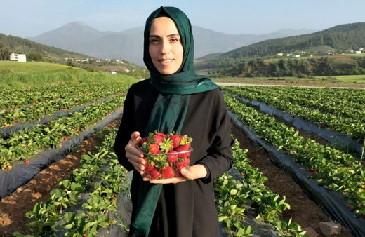 Meraktan başladılar şimdi paraya para demiyorlar...