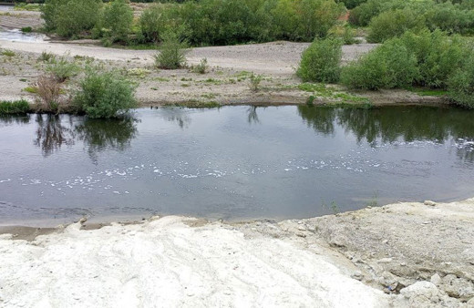 Marmara Denizi'ne zehir akıyor kanser hastalarının sayısı artıyor