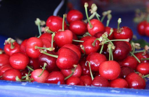 Erkenci kiraz üretim merkezi Manisa'da sezonun ilk hasadı yapıldı