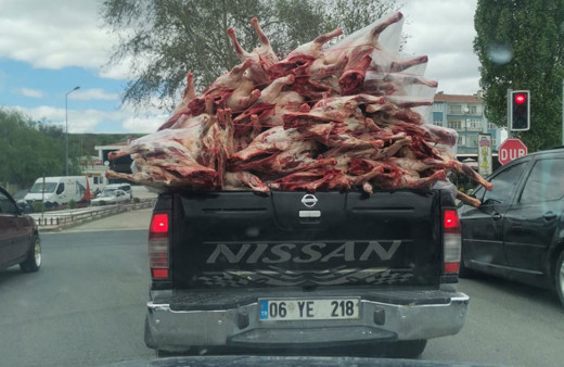 Kilolarca et kamyonet kasasında hiç bir önlem alınmadan taşındı